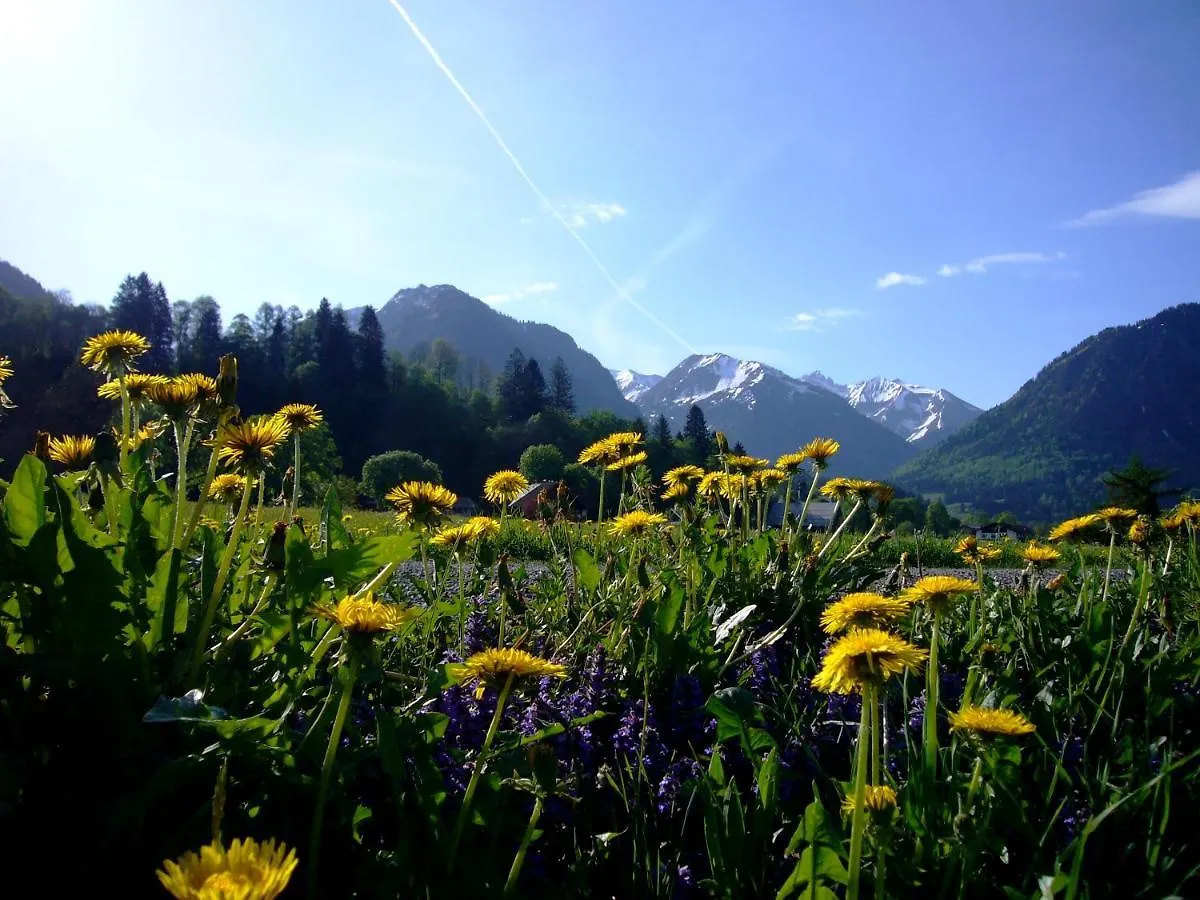 Апартаменты Oberstdorfer Bergwelt 218 Германия